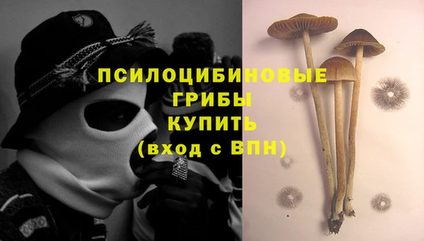 каннабис Осташков