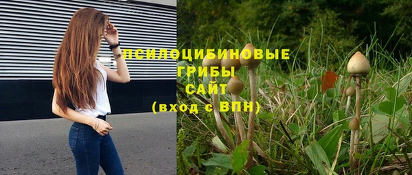 тгк Богородицк