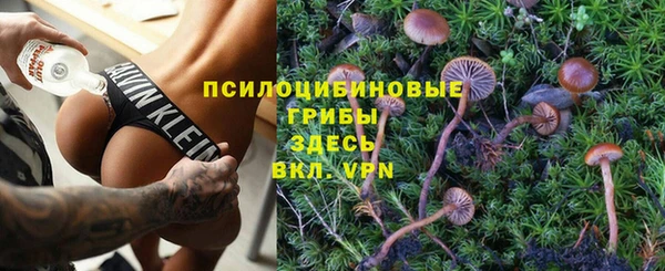 тгк Богородицк