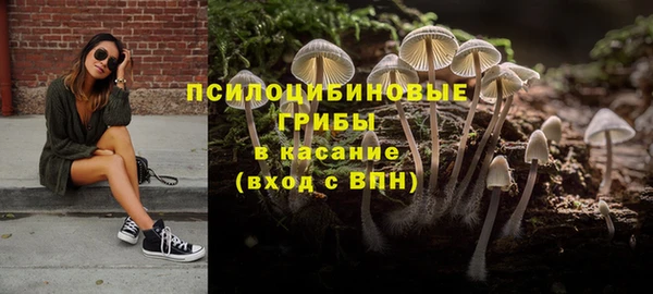 экстази Богородск