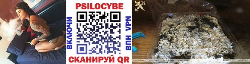MEGA ссылки  даркнет телеграм  Бологое  Галлюциногенные грибы MAGIC MUSHROOMS  наркота 